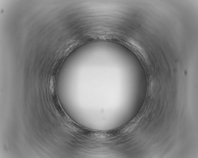 X0000086980121200704161137