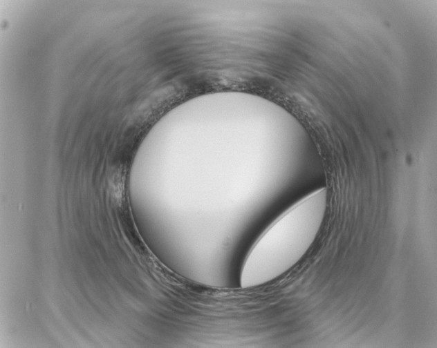 X0000086980129200704161137