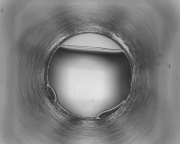 X0000086980154200704161136