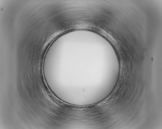 X0000086980155200704161136