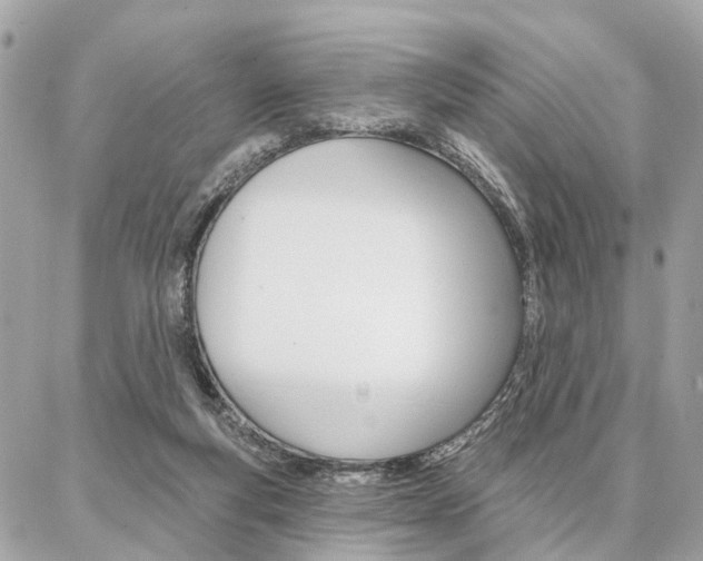 X0000086980163200704161136