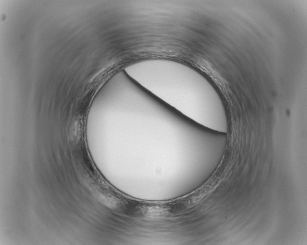 X0000086980165200704161136