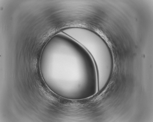 X0000086980201200704161136