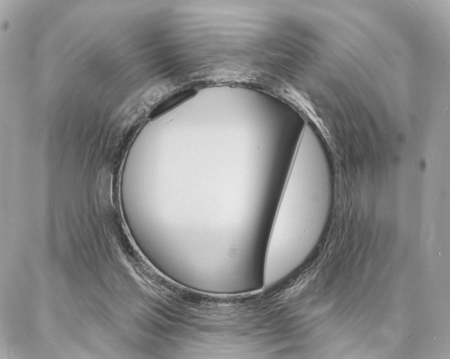 X0000086980205200704161136