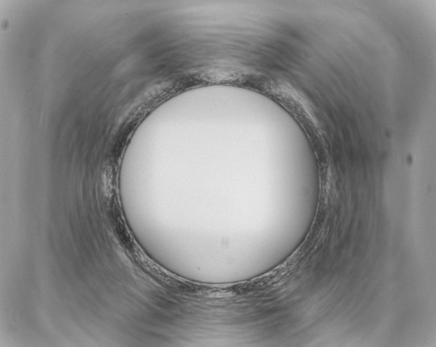 X0000086980210200704161136