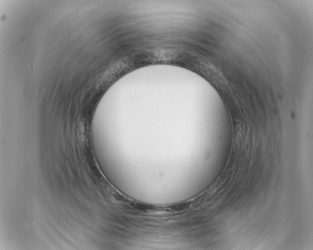 X0000086980220200704161136