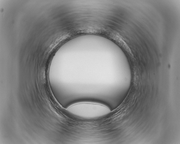 X0000086980251200704161135
