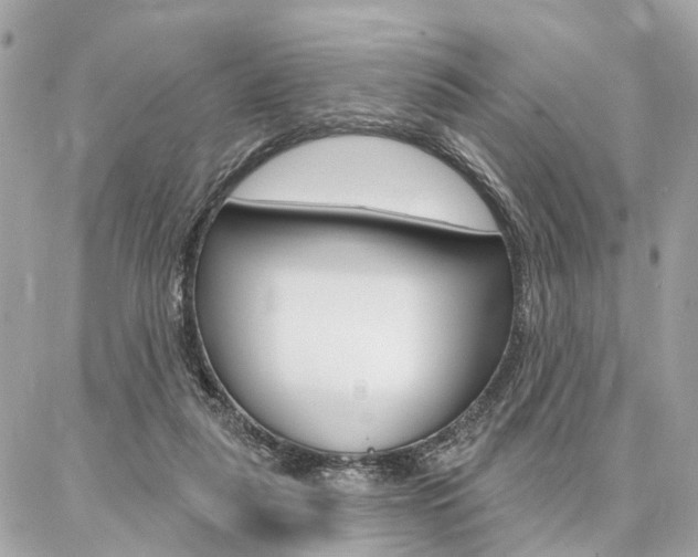 X0000086980259200704161135
