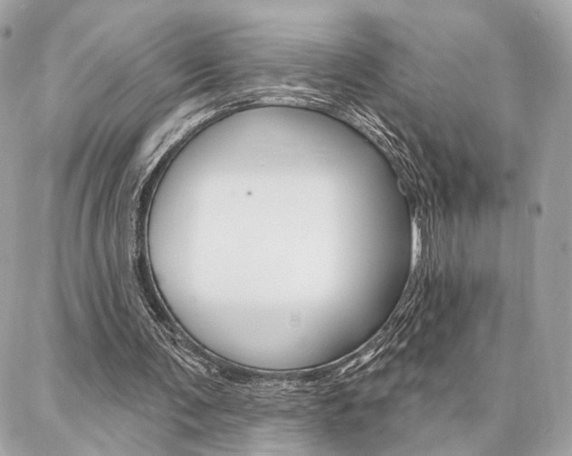 X0000086980291200704161134