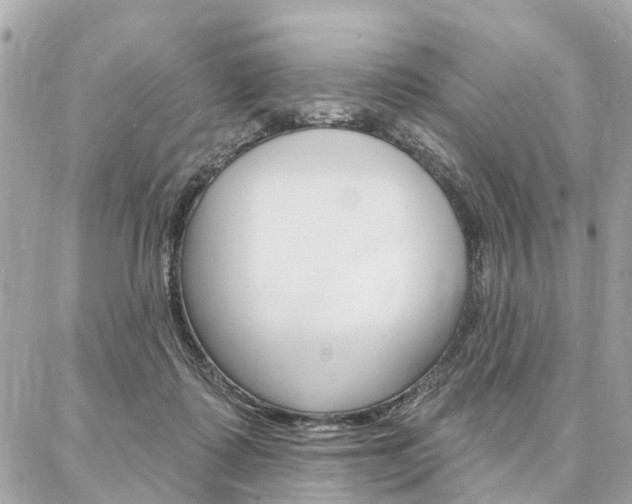 X0000086980315200704161134