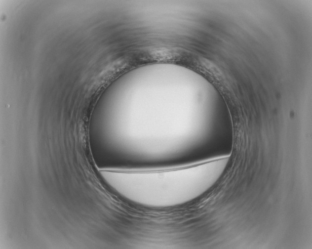 X0000086980317200704161134
