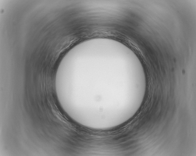 X0000086980362200704161133