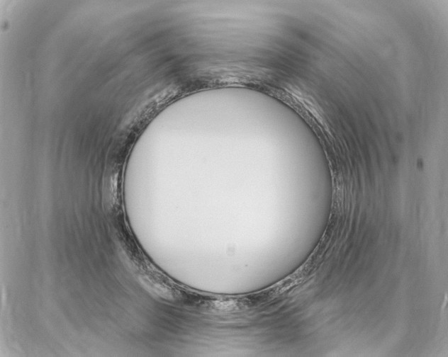 X0000086980406200704161133
