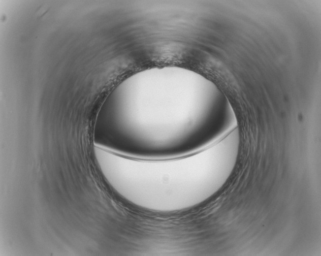 X0000086980416200704161132