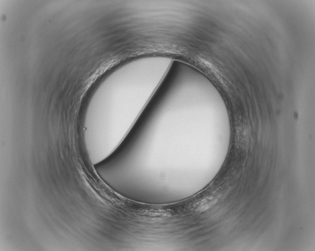 X0000086980443200704161131