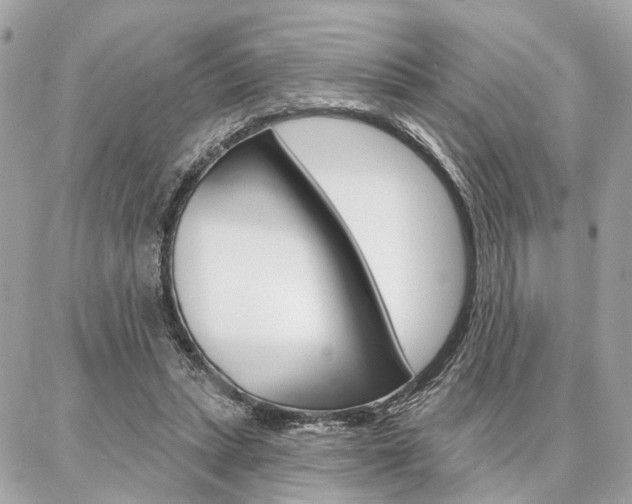 X0000086980447200704161132