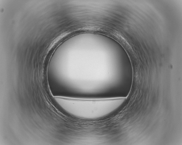 X0000086980484200704161131