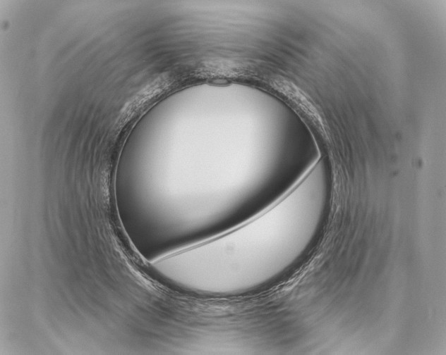 X0000086980489200704161131