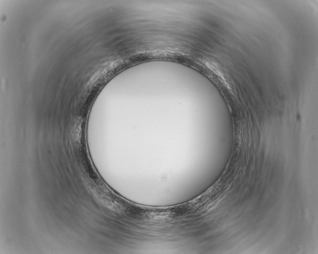 X0000086980495200704161131