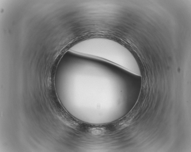 X0000086980508200704161131