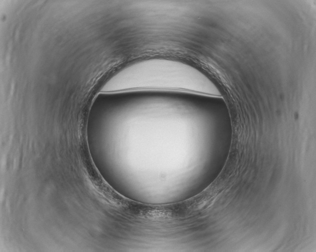 X0000086980546200704161130