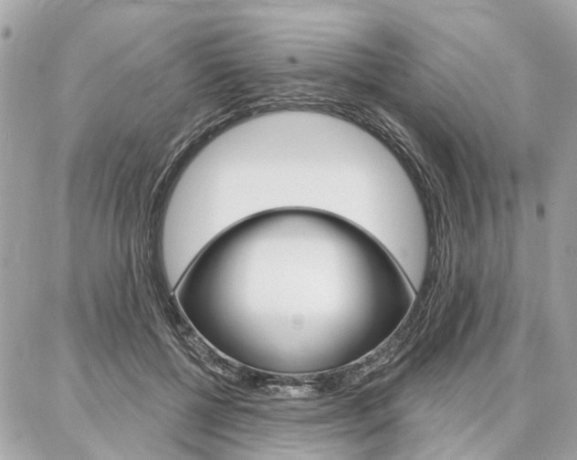 X0000086980552200704161130