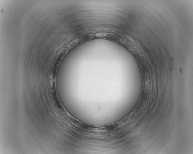 X0000086980555200704161130