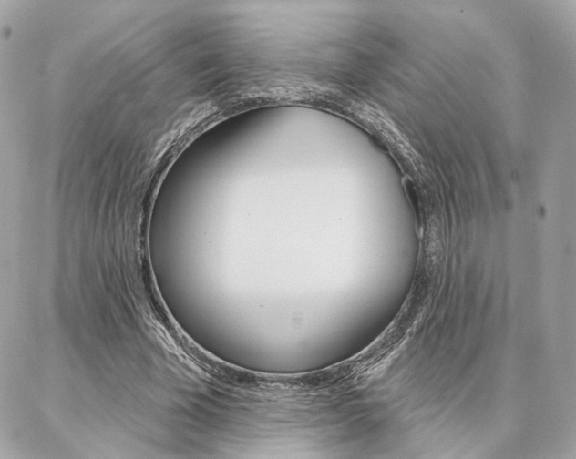 X0000086980585200704161130