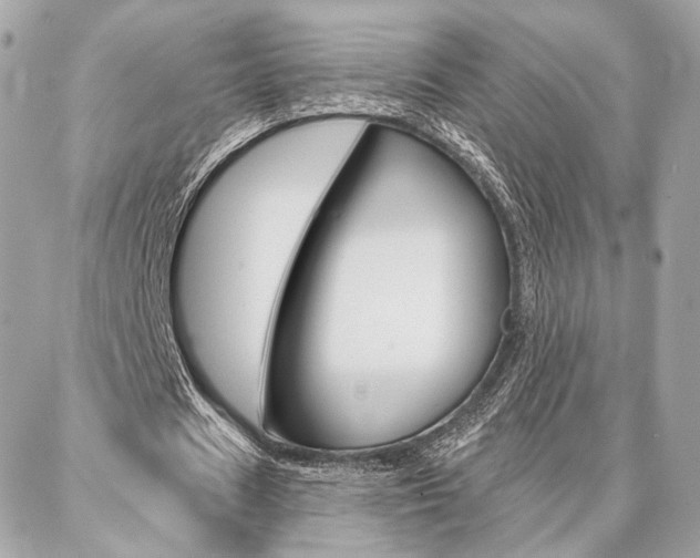 X0000086980625200704161128