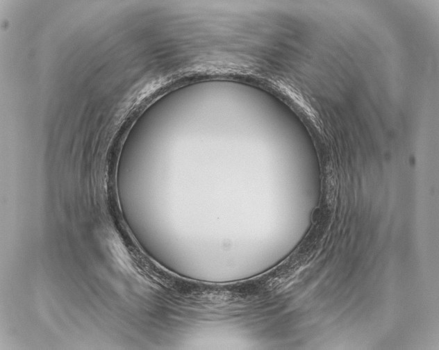 X0000086980631200704161128