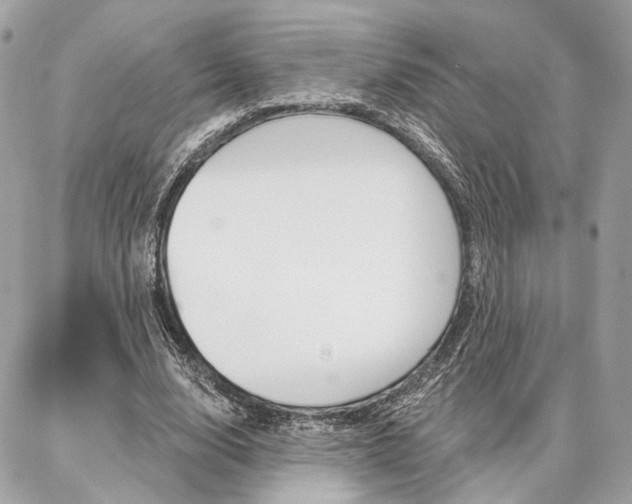 X0000086980632200704161128