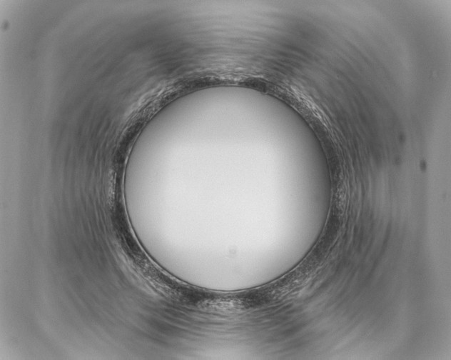 X0000086980639200704161128