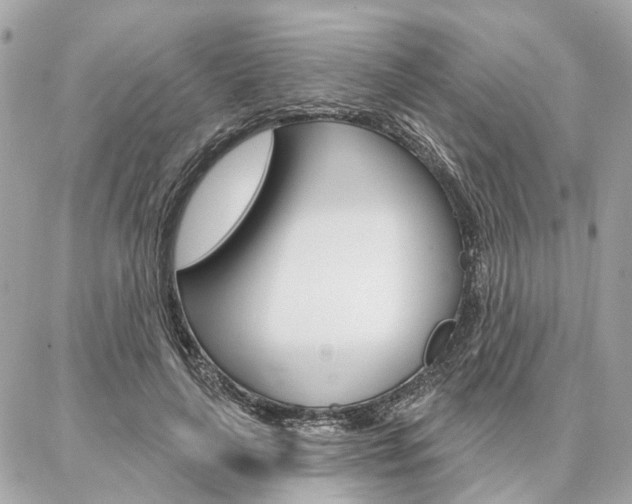 X0000086980643200704161128