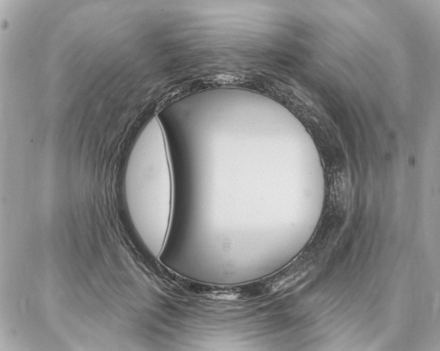 X0000086980651200704161129