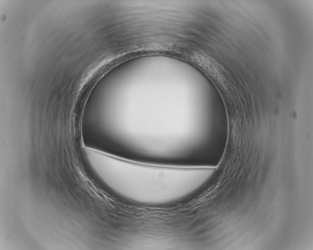 X0000086980676200704161128