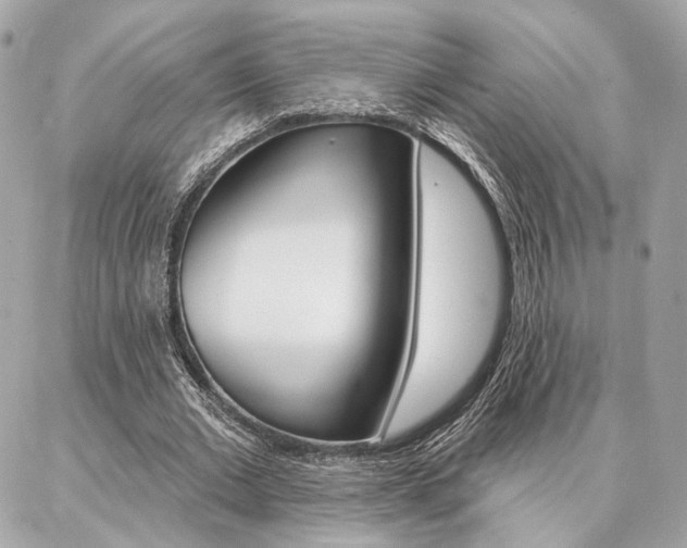 X0000086980677200704161128
