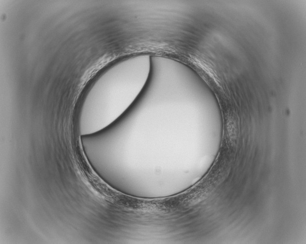 X0000086980682200704161128