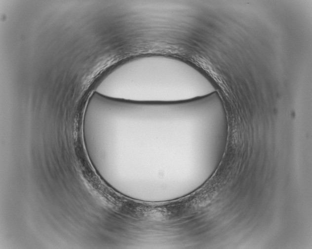 X0000086980683200704161128