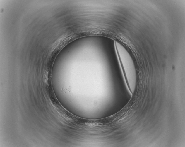 X0000086980693200704161128