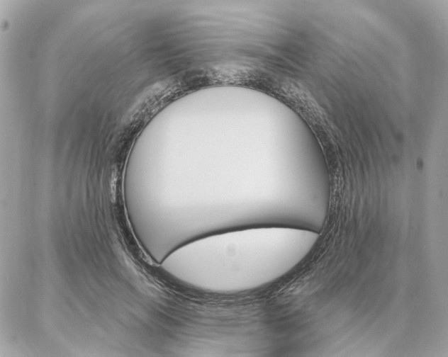 X0000086980694200704161128