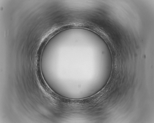 X0000086980730200704161127