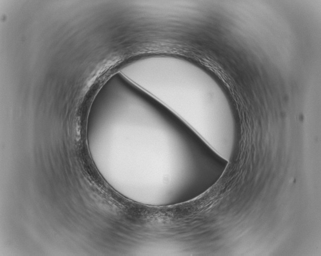 X0000086980731200704161127