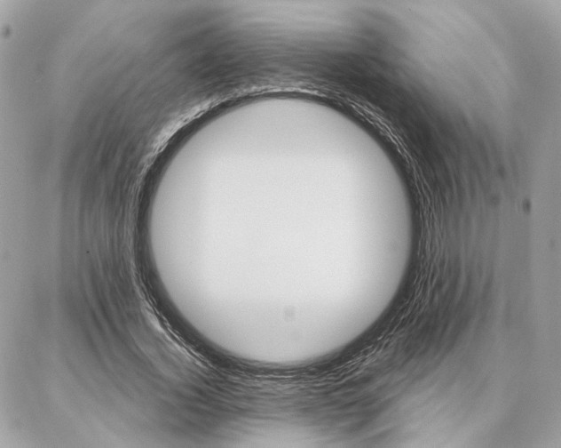 X0000086980732200704161127