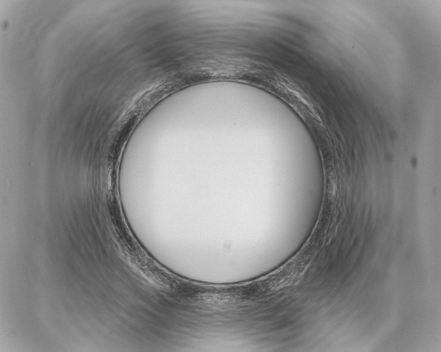 X0000086980733200704161127