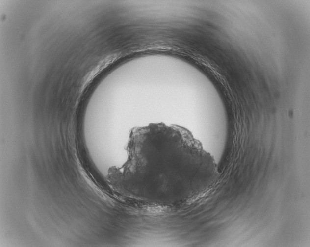 X0000086980734200704161127