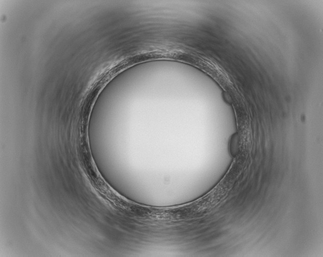 X0000086980736200704161127