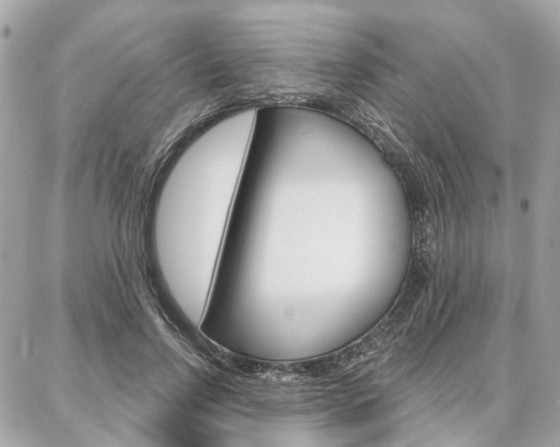X0000086980742200704161127