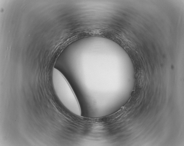 X0000086980747200704161127