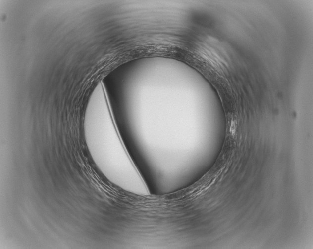 X0000086980771200704161126