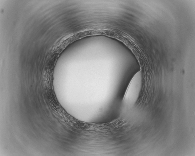 X0000086980773200704161126